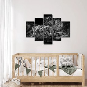 Tablou - Gheparzi care se odihnesc (150x105 cm)