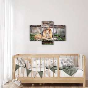 Tablou cu leu (90x60 cm)