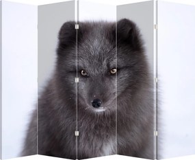 Paravan - Vulpe polară (210x170 cm)