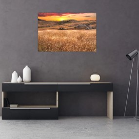 Tablou cu câmp (90x60 cm)