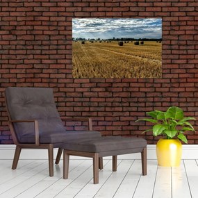Tablou cu câmp recoltat (90x60 cm)