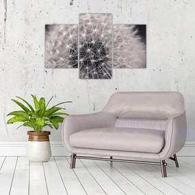 Tablou cu păpădie (90x60 cm)