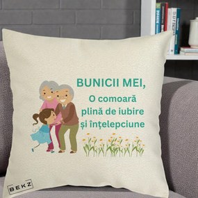 Cadou pentru Bunici - Perna Personalizata Bunicii Mei Comoara Iubire Intelepciune Nepoata, 40x40 cm, Ecru, Husa Detasabila, Perna Inclusa, BEKZ®