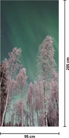 Fototapet pentru ușă - Aurora boreală peste copaci înghețați (95x205cm)