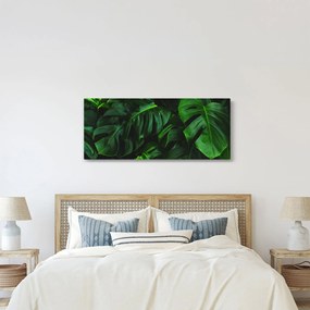 Tablou cu frunze Monstery (120x50 cm)