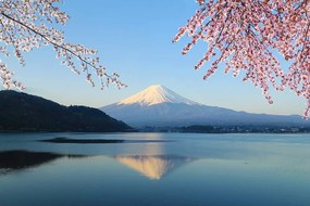 Fototapet autoadeziv vedere din lac la Fuji