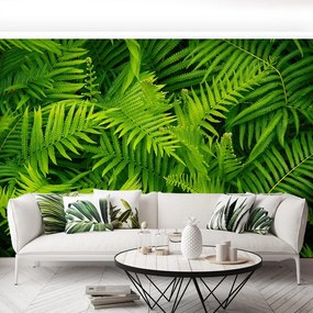 Fototapet Green Fern