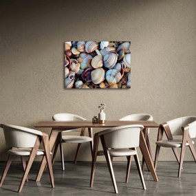 Tablou cu scoici (70x50 cm)