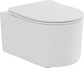 Set vas wc suspendat rimless si capac softclose Quick Release Fluminia Roco