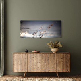 Tablou -Flori de luncă (120x50 cm)