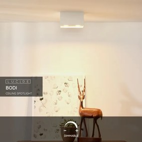 Lucide 09101/02/31 - Lampa spot BODI 2xGU10/50W/230V