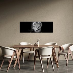 Tablou - Tigru cu ochi galbeni (cu ceas) (90x30 cm)
