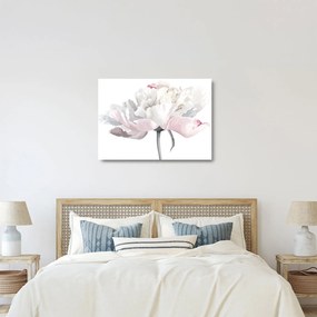 Tablou pe sticlă - Floare de trandafir (70x50 cm)