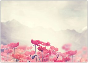 Tablou - Maci (70x50 cm)