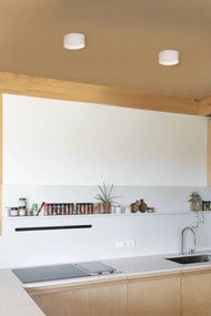 Spot LED aplicat tavan MIZU 15W alb