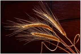 Tablou - Spic în prim plan (90x60 cm)