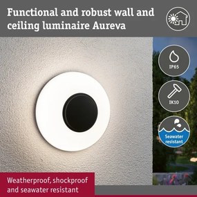 Paulmann 94955 - LED/20,5W IP65 Aplică de perete pentru exterior reglabilă AUREVA 230V