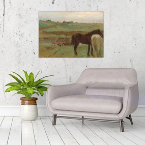 Tablou - Edgar Degas, Horses in a Meadow, reproducere (70x50 cm)