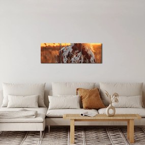 Tablou - Cal la Apus (cu ceas) (90x30 cm)