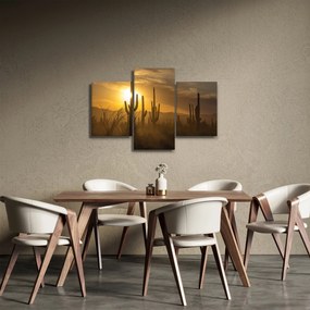 Tablou - Cactuși Saguaro (90x60 cm)