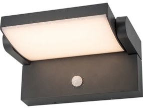 Aplică LED de exterior cu senzor Brilagi ANKLE LED/12,5W/230V IP54