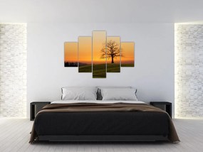 Tablou cu apus de soare pe o luncă (150x105 cm)