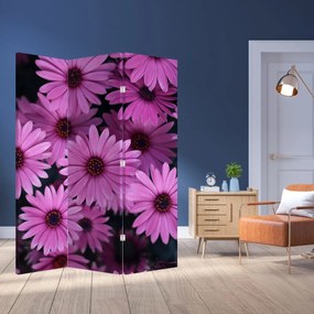 Paravan - Florile roz (126x170 cm)