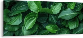 Tablou - Frunze verzi (120x50 cm)
