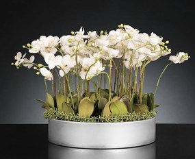 Aranjament floral mediu design LUX PHALEANOPSIS DISK