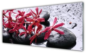Tablou pe sticla Pietrele de flori Arta Negru Roșu