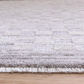 Covor grej 200x300 cm Laurent Grey Silver – Asiatic Carpets
