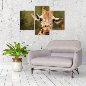Tablou girafe (90x60 cm)