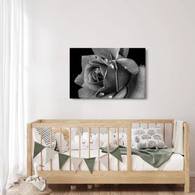 Tablou cu trandafir - albneagră (90x60 cm)