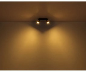 Plafoniera cu 2 spoturi directionabile design modern DREW maro inchis, negru mat