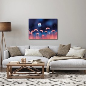 Tablou cu păpădii cu fluture albastru (70x50 cm)