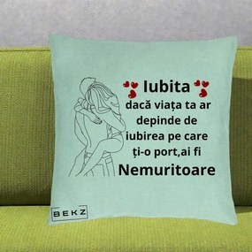 Cadou pentru Iubita - Perna Personalizata Iubita Nemuritoare cu Cuplu Line-Art si Inimi Rosii, 40x40 cm, Verde Menta, Husa Detasabila, Perna Inclusa, BEKZ®