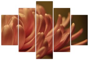 Tablou cu detailu florii (150x105 cm)