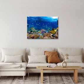 Tablou - Ocean (70x50 cm)