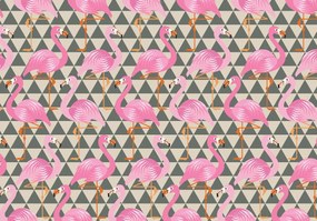 Fototapet - Flamingo (254x184 cm)