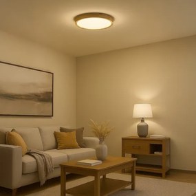 Plafonieră LED ORINOKO, 36W, 230V, Ø 48 cm, bej