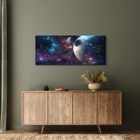 Tablou cu cosmos (120x50 cm)