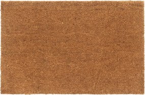 vidaXL Covoraș de ușă natural, 65x100 cm, fibre de cocos