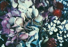 Fototapet - Flori (254x184 cm)