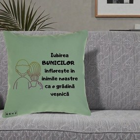 Cadou pentru Bunici - Perna Personalizata Iubirea Bunicilor Infloreste Cuplu Line Art Gradient, 40x40 cm, Verde, Husa Detasabila, Perna Inclusa, BEKZ®