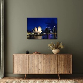 Tablou pe sticlă Singapore nocturn (70x50 cm)