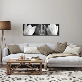 Tablou - Lalele alb negre (cu ceas) (90x30 cm)