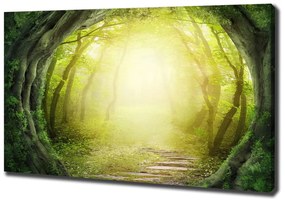 Tablouri tipărite pe pânză Tunel de copaci