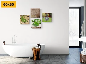 Set tablouri Feng Shui cu elementele naturii