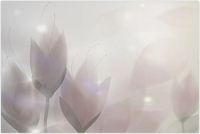 Tablou - Flori de crocus (90x60 cm)