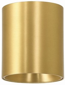 Spot aplicat auriu LED BABIL 10W CCT